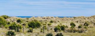 Mon Petit Paradis, vue sur dunes et mer, accès direct plage Robinson, terrasse, WIFI, parking privé, très ressourçant, à Marseillan Plage - 3