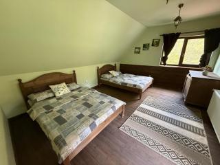 Cabana Din Pădure - 1