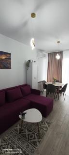Andreea Apartament - 7
