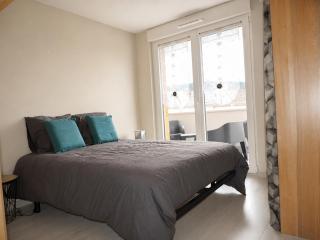 appartement avec balcon terrasse plein sud proche lac et centre ville wifi - 4