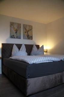 Appartement-Harzpanorama - 5