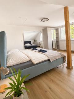 Elysian 3 apartment - TEAM - 2
