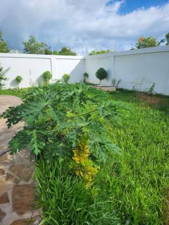 Marumbi Beach House - 2
