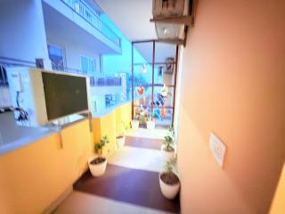 The verdant corner - 8