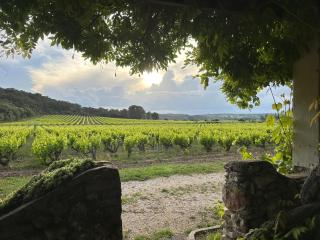 Ecrin au milieu des vignes - Uchaux - 8