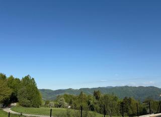 Skalne Wzgórze - 2