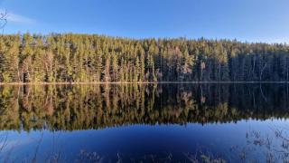 Moderne hytte ved sjøen med badstue - 2