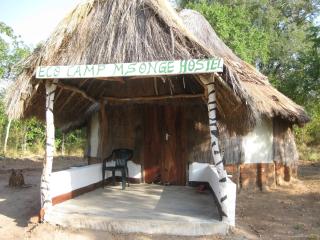 Ngerengere River Eco Camp - 3