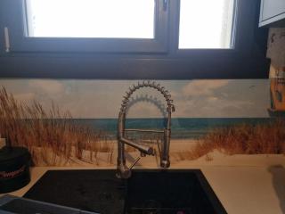 Plage et coquillages - 6