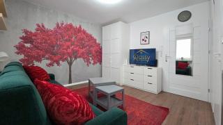 CLASSY APARTMENTS - Sopot - Centrum - Sopot - 4