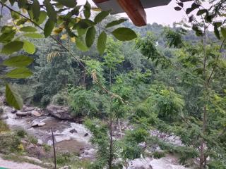 satyasha riverside farm stay - 2