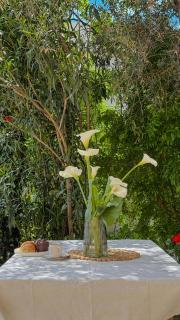 Apartment Nevena - 3