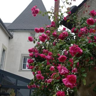 Tiers Gîte l'Espérance - 5