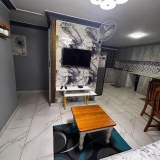 BEREA apartment 786 - 3