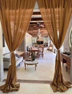 Luxury Jungle villa with cenote pool near Tulum - 1