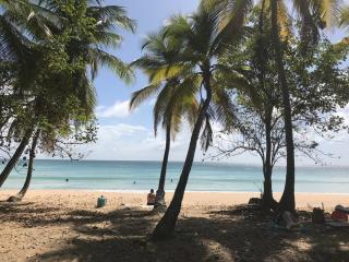 Villa F4 vue mer Sud Martinique - 5