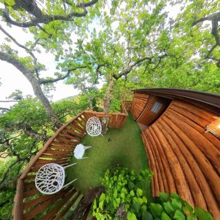 Casetta sull'Albero con Animali & Vista Mare - 9
