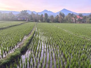Pondok Nisya - 3