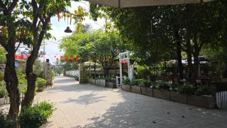 MangoGarden Coffee & homestay - 7