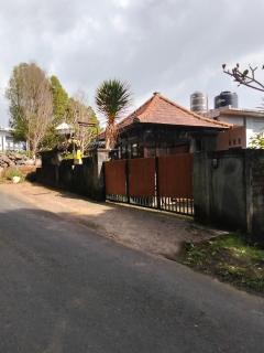 Baliwood Munduk - 4