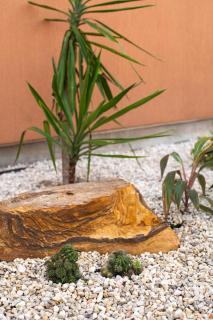 Cosmic Cactus, Designer Luxury Escape and Amenities - 2