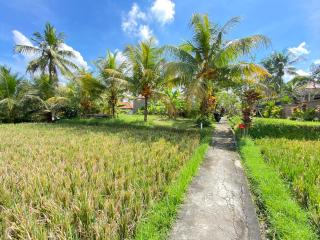 Lumbung Sedana - 3