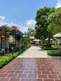 Melalueca tay ninh - 7
