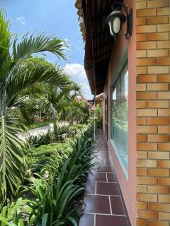 Melalueca tay ninh - 9