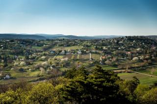 Balaton View From Almadi with Terrace & Garden - Happy Rentals - 1