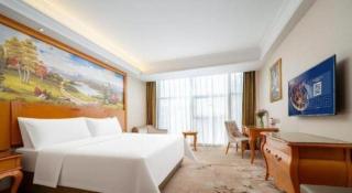 Vienna Hotel Guangdong Dongguan Humen High-Speed Railway Station - 8