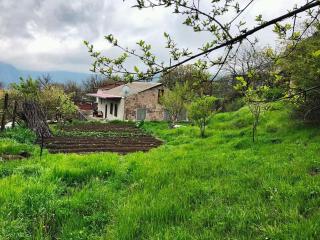 Syunyats guest house in Halidzor - 3