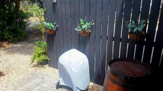 Jeffreys Bay - Life on the Canals - 3