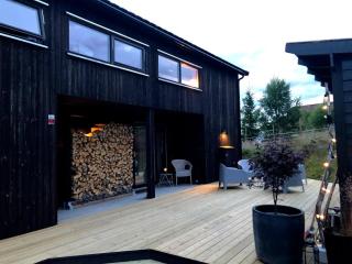 High standard In nature One hour from Oslo Fantastic wiews Family friendly - 0