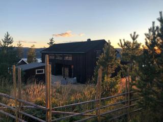 High standard In nature One hour from Oslo Fantastic wiews Family friendly - 4