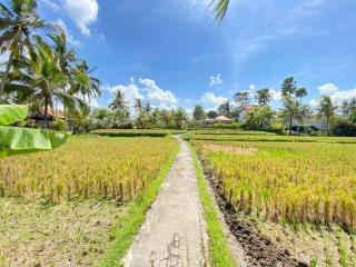 Lumbung Sedana - 4