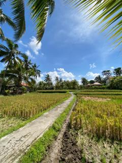 Lumbung Sedana - 5