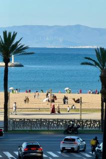 Appartement neuf centre et plage - 0