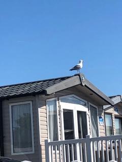 Coastal Comfort at 168 juniper close - 9