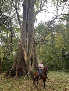 Kua Entre Ríos - Finca privada en el Rio La Miel - 7