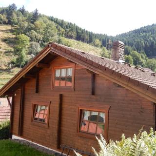 Gemütliches Blockhaus mit Naturgarten im Harz - 0