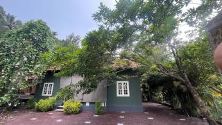 Hilltop Serenity Homestay - 6