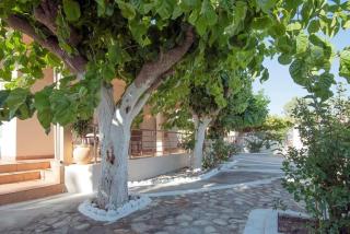 Seaside Plitra Paradiso - Steps from the Beach - 4