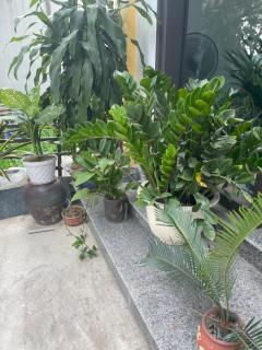 Đức Quỳnh Hotel - 9