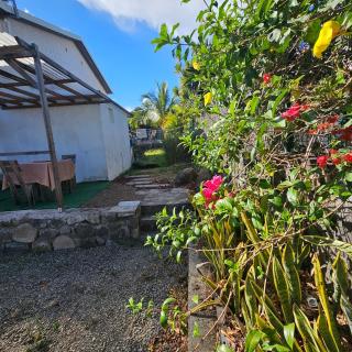 Cozy 1-bedroom with swimming pool Near beaches & Cilaos - 3