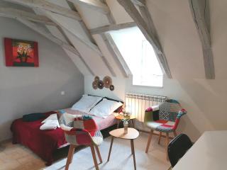 Petit studio traversant CENTRE HISTORIQUE - 8
