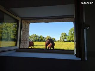 Gîte Le Perruchet - 3
