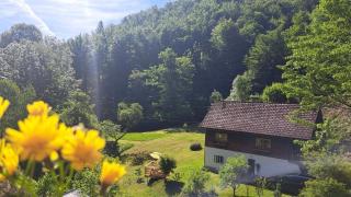 Ferienwohnung Urmannsau - 9
