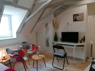 Petit studio traversant CENTRE HISTORIQUE - 0