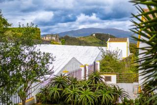 VIVA Quinta I Quinta do Ananás Pineapple Farmhouse - 4