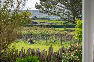 Spacious Home Private Parking & Garden Tintagel - 7